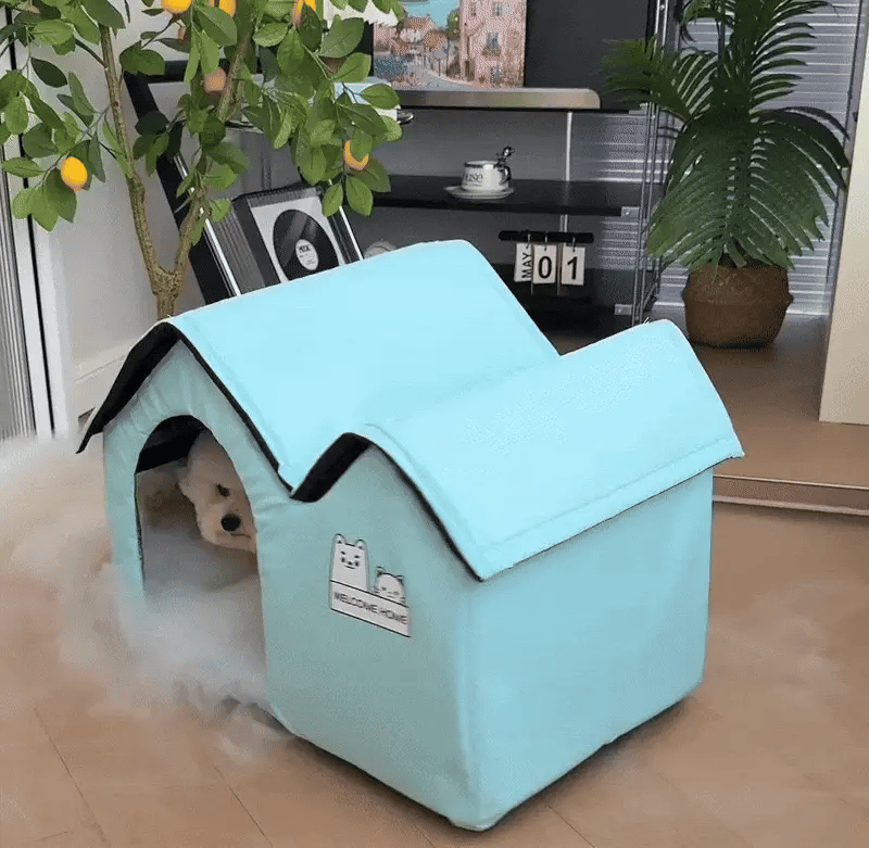 Ice Dog House